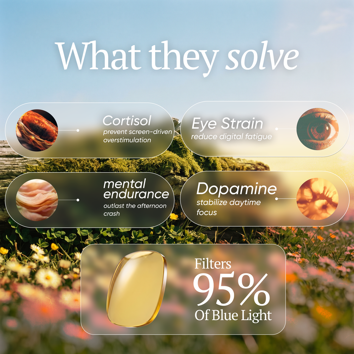 the-aero Everyday Green