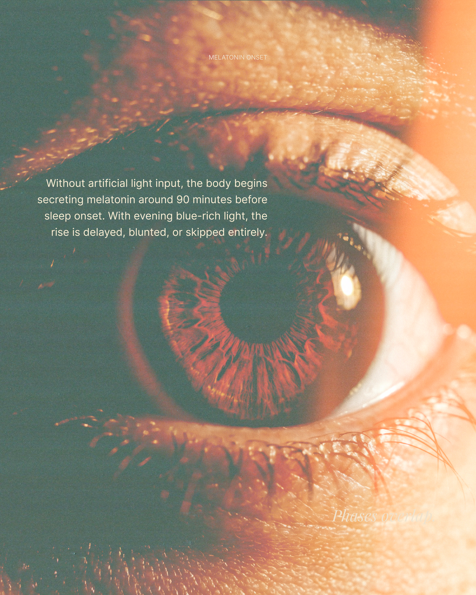 Light reaches your eye, and your brain listens.